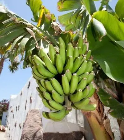 Playa Blanca Sleeps 6 Pool Wifi Apartment Playa Blanca (Lanzarote)