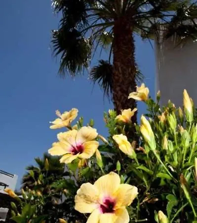 Apartment Playa Blanca Sleeps 6 Pool Wifi Playa Blanca (Lanzarote)